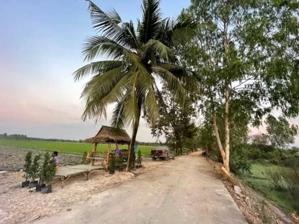 ที่ดินนครนายก ที่ดินบ้านนา บ้านพริก สวยสุด ทำเลดีสุด วิวเขา ติดคลอง ลมพัดเย็นตลอดเวลา ซื้อวันนี้ ฟรีโอน