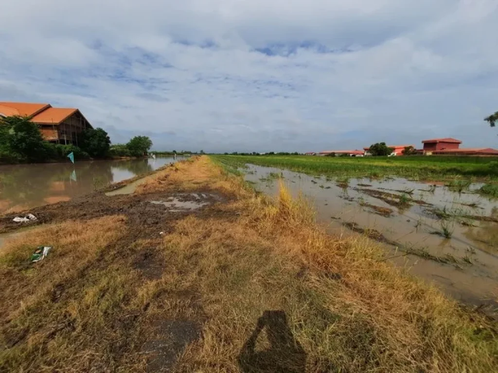 ขายที่ดิน ในคลอง14 ลำลูกกา ที่ดินเปล่า เนื้อที่ 49ไร่ 11 ตรว