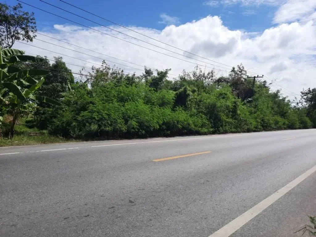 ขายที่ดิน ในคลอง13 ลำลูกกา ตำบลพืชอุดม อำเภอลำลูกกา จังหวัดปทุมธานี