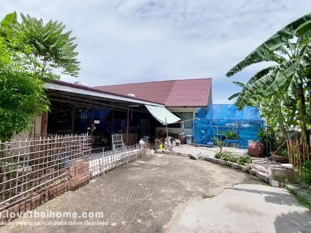 ขายที่ดินพร้อมบ้านสำนักงานโรงงาน บางเลน นครปฐม สามารถดำเนินธุรกิจต่อได้เลย พื้นที่ 450 ตรว ใกล้ มราชภัฏสวนสุนันทา วิทยาเขตพุทธมณฑล