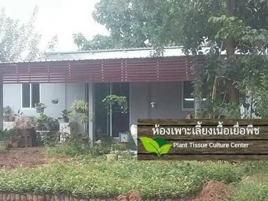 ขายที่ดินถูก จำนวน 107 ไร่ ที่ภูเขียว-เกษตรสมบูรณ์