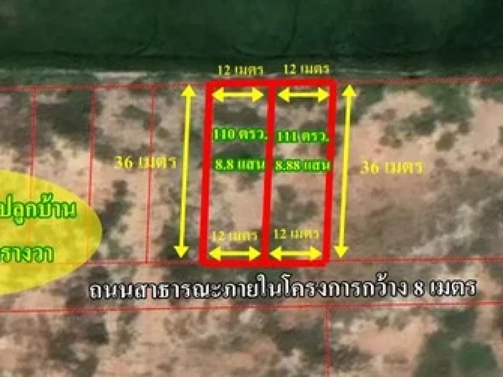 ขายที่ดิน ถมแล้ว 110 ตรวใกล้ที่ว่าการอำเภอบ้านโพธิ์ ตบ้านโพธิ์ อบ้านโพธิ์ จฉะเชิงเทรา