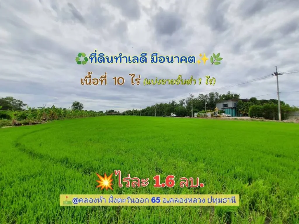 ขายถูกที่สุด ที่ดินคลองห้า 10 ไร่แบ่งได้ทำเลดี มีอนาคตคลองห้า ฝั่งตะวันออก 65 อคลองหลวง