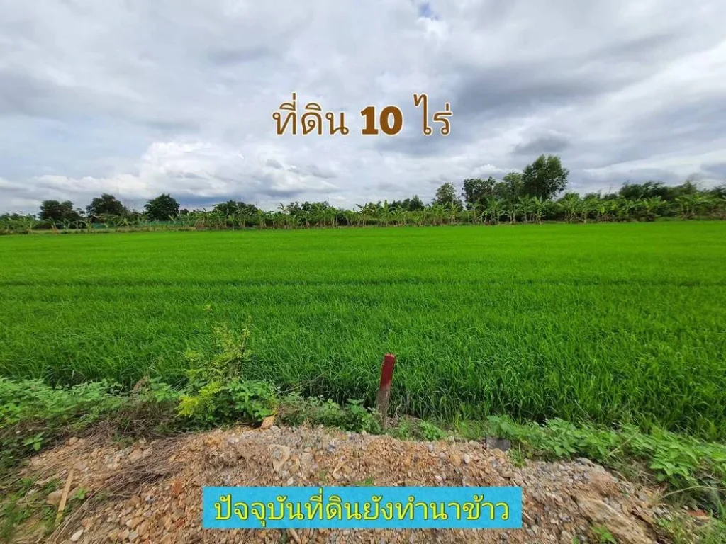 ขายถูกที่สุด ที่ดินคลองห้า 10 ไร่แบ่งได้ทำเลดี มีอนาคตคลองห้า ฝั่งตะวันออก 65 อคลองหลวง