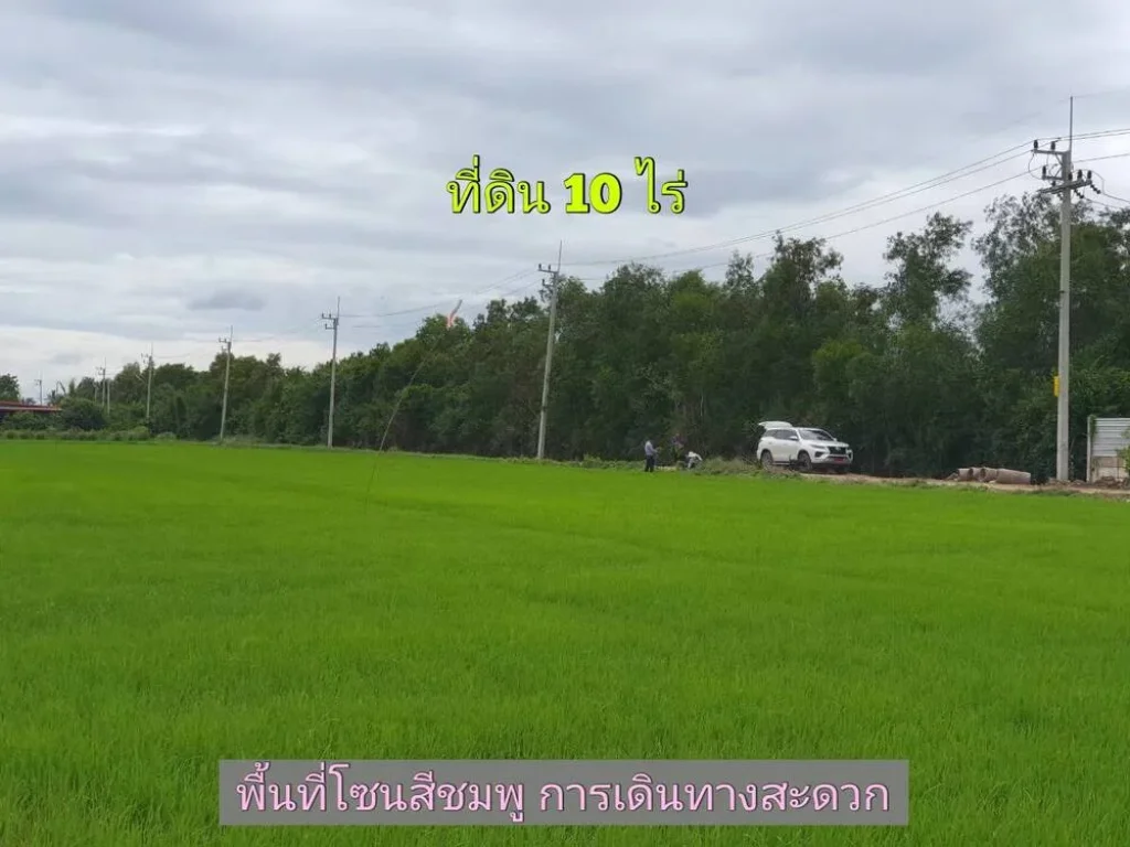 ขายถูกที่สุด ที่ดินคลองห้า 10 ไร่แบ่งได้ทำเลดี มีอนาคตคลองห้า ฝั่งตะวันออก 65 อคลองหลวง