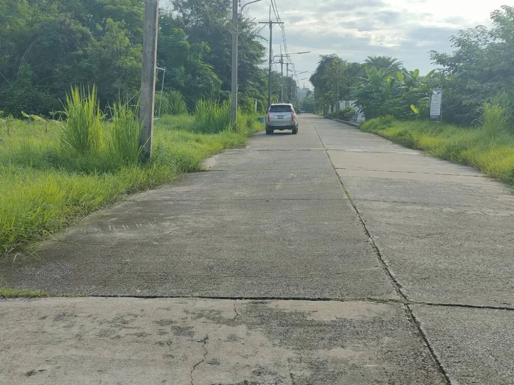 ขายที่ดินเปล่า 268 ตรว ติดมหาวิทยาลัยรังสิต สถานีรถไฟฟ้าหลักหก ปทุมธานีราคาพิเศษ