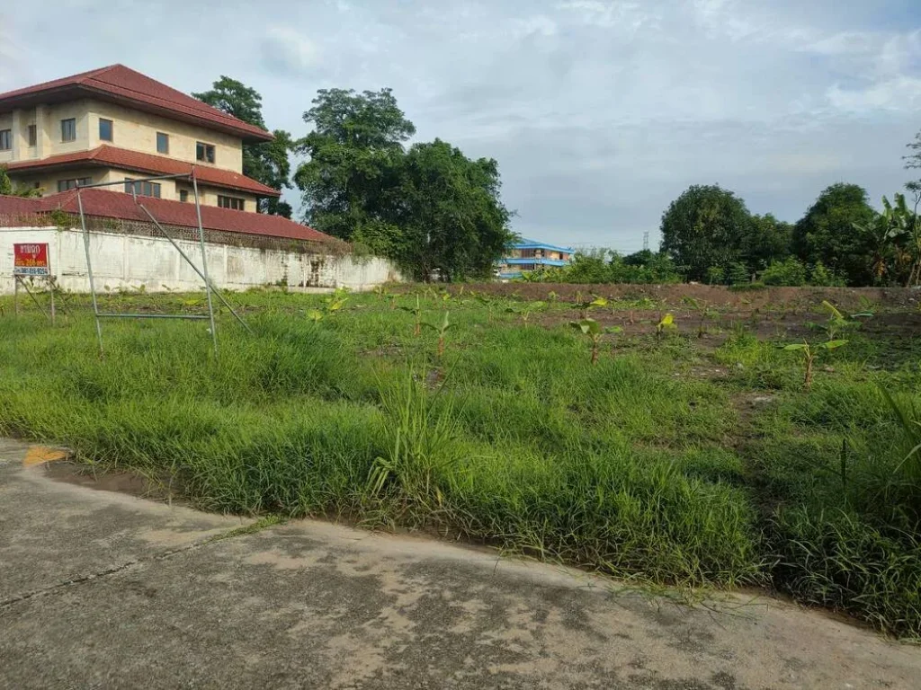 ขายที่ดินเปล่า 268 ตรว ติดมหาวิทยาลัยรังสิต สถานีรถไฟฟ้าหลักหก ปทุมธานีราคาพิเศษ