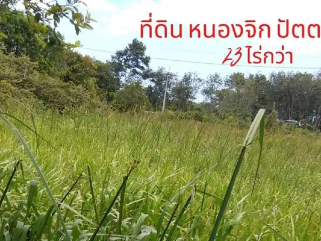 ที่ดิน ราคาถูก ติดถนนใหญ่เพชรเกษม สาย 43 หาดใหญ่ ปัตตานี เดินทางสะดวก