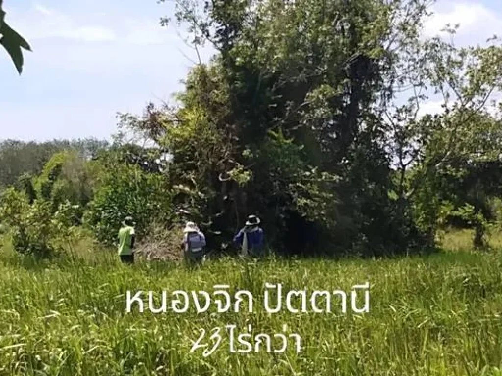 ที่ดิน ราคาถูก ติดถนนใหญ่เพชรเกษม สาย 43 หาดใหญ่ ปัตตานี เดินทางสะดวก