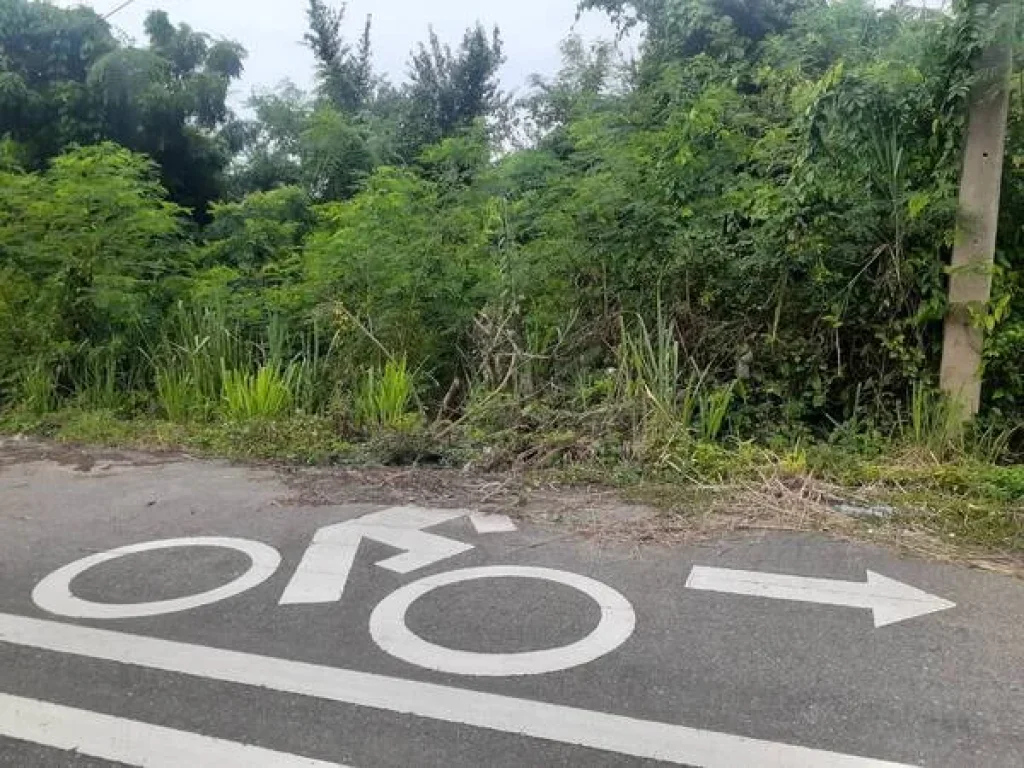 ขายที่ดินเปล่าติดถนนใกล้หาดบ่อเมา ตำบล ชุมโค อำเภอปะทิว ชุมพร