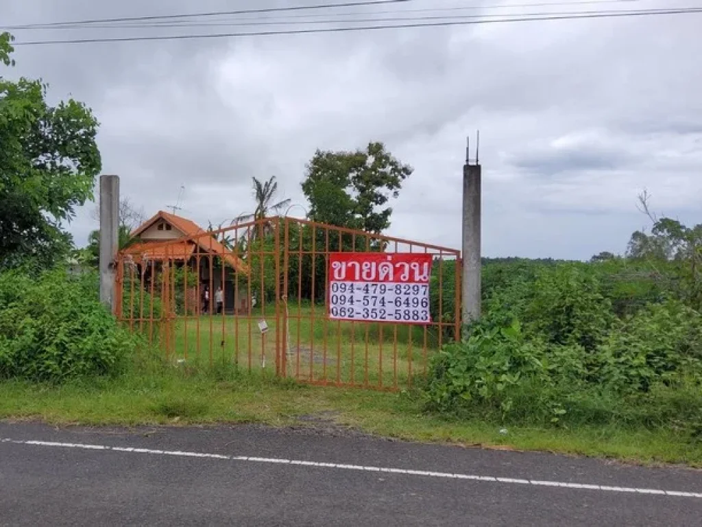 ขาย ที่ดิน พร้อมบ้านพัก เนื้อที่ 43-1-73 ไร่ ใกล้เทศบาลตำบล หลักเขต อเมืองบุรีรัมย์ จบุรีรัมย์