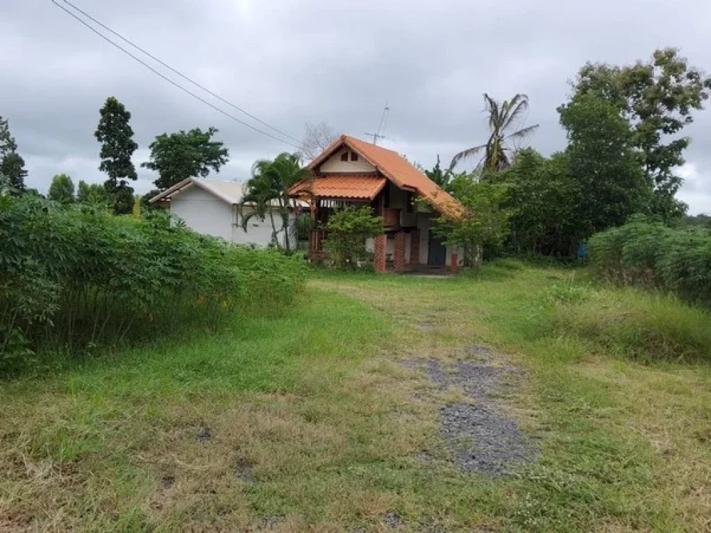 ขาย ที่ดิน พร้อมบ้านพัก เนื้อที่ 43-1-73 ไร่ ใกล้เทศบาลตำบล หลักเขต อเมืองบุรีรัมย์ จบุรีรัมย์