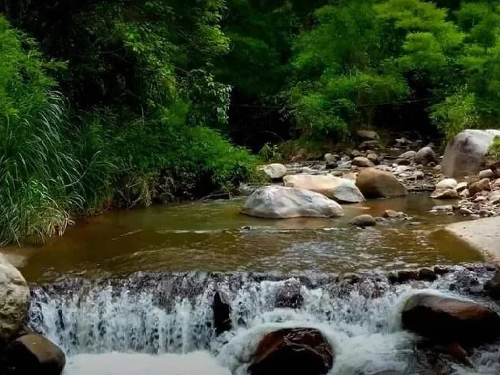 ที่ดินเปล่าดอยสะเก็ด แปลงสวย ติดถนนใหญ่หมายเลข 118 เชียงใหม่  เชียงราย