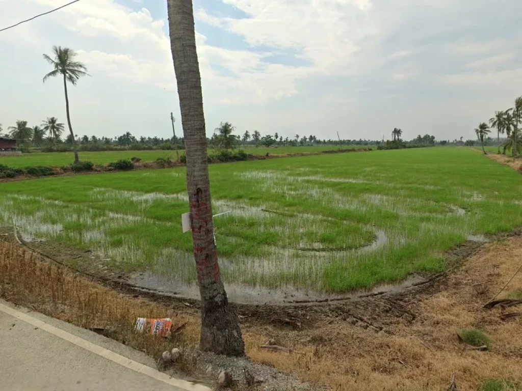 ขายถูกมาก ที่ดินเปล่า 9-0-18 ไร่ ตำบล ลำพญา อำเภอ บางเลน จังหวัด นครปฐม