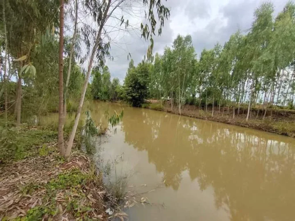 ที่ดินสำหรับเกษตรกรรม ปศุสัตว์ โฉนด ติดทางสาธารณะ มีแหล่งน้ำ เพชรบูรณ์