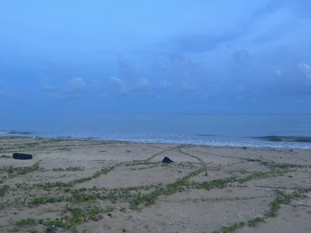 ขายที่ดินติดทะเล หาดส่วนตัว ทะเลบ่อนอก อำเภอกุยบุรี จังหวัดประจวบคีรีขันธ์