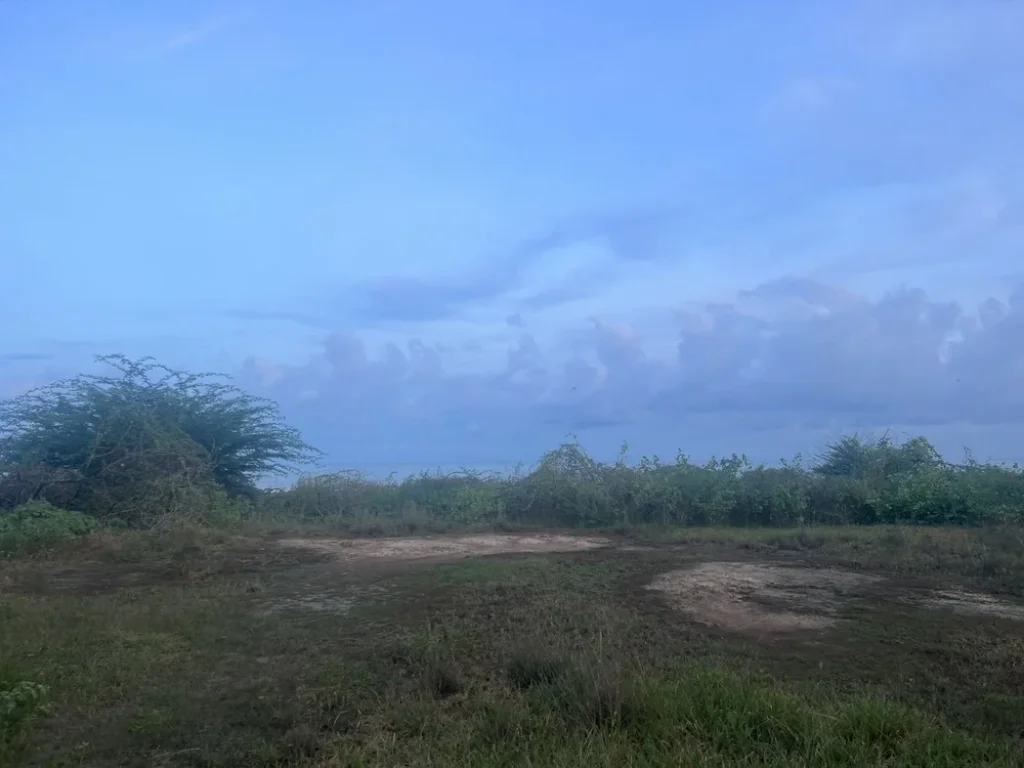 ขายที่ดินติดทะเล หาดส่วนตัว ทะเลบ่อนอก อำเภอกุยบุรี จังหวัดประจวบคีรีขันธ์