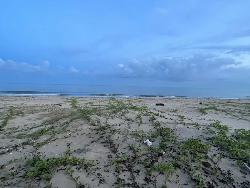 ขายที่ดินติดทะเล หาดส่วนตัว ทะเลบ่อนอก อำเภอกุยบุรี จังหวัดประจวบคีรีขันธ์