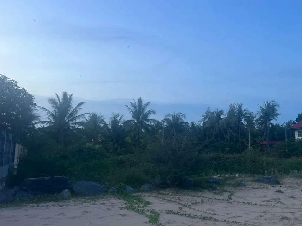 ขายที่ดินติดทะเล หาดส่วนตัว ทะเลบ่อนอก อำเภอกุยบุรี จังหวัดประจวบคีรีขันธ์