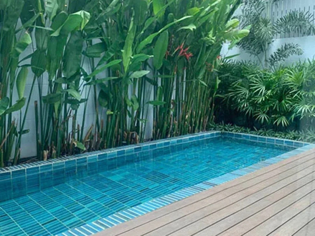 ให้เช่า บ้านเดี่ยว สวยและใหม่มาก พร้อมสระส่วนตัว ในสุขุมวิท For Rent A Modern amp New Single House with private pool in Sukhumvit