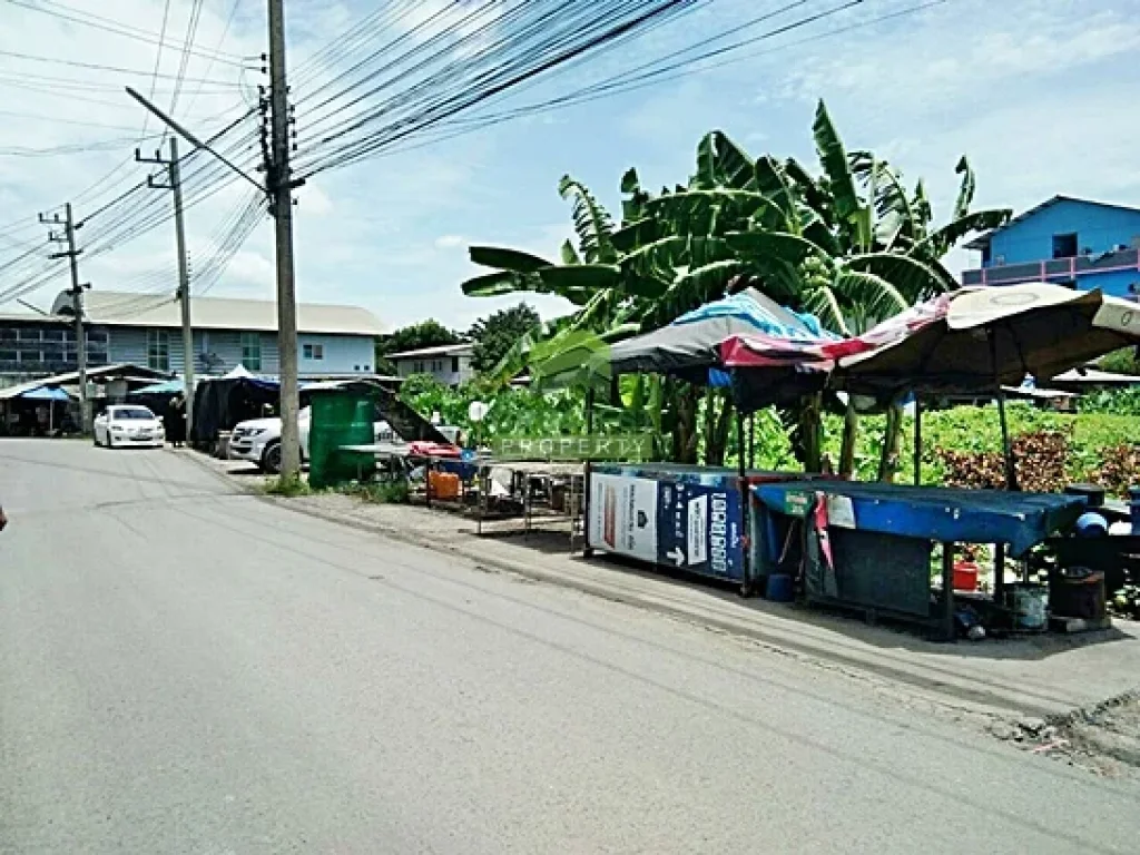 ขายด่วน ที่ดินเปล่า ตำบล ยายชา สามพราน นครปฐม เนื้อที่ 124 ตรว ทำเลดี ใกล้ถนน เพชรเกษม