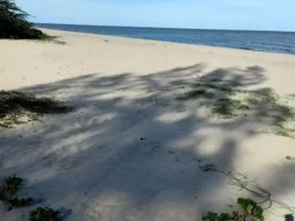 ขายที่ดินติดทะเลหาดกุยบุรี ขายด่วนที่ติดทะเลสวย หาดทรายขาวสะอาด สงบ เหมาะสำหรับสร้างบ้านพักส่วนตัว สามารถสร้างบ้านได้ 2 ชั้นตามกฏหมายกำหนด