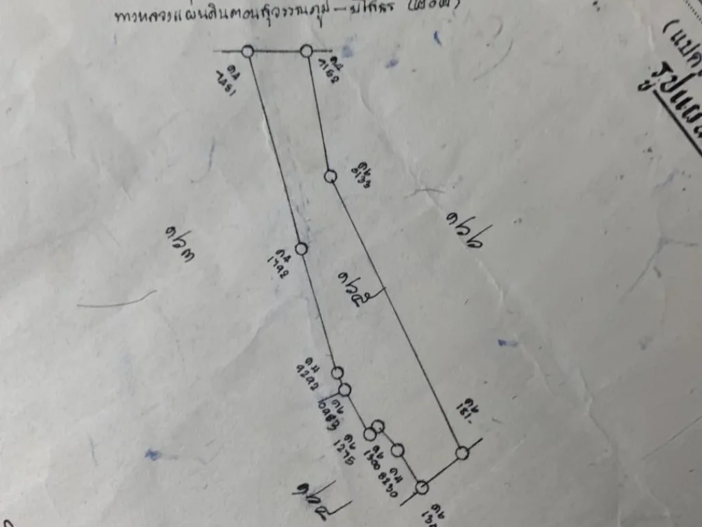 ขายที่ดิน ติดถนนหลวงแผ่นดิน 202 เส้นยโสธร สุวรรณภูมิ