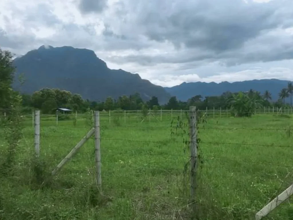 ขายที่ดินติดวิวภูเขา วิวดอยหลวง เชียงดาว เชียงใหม่