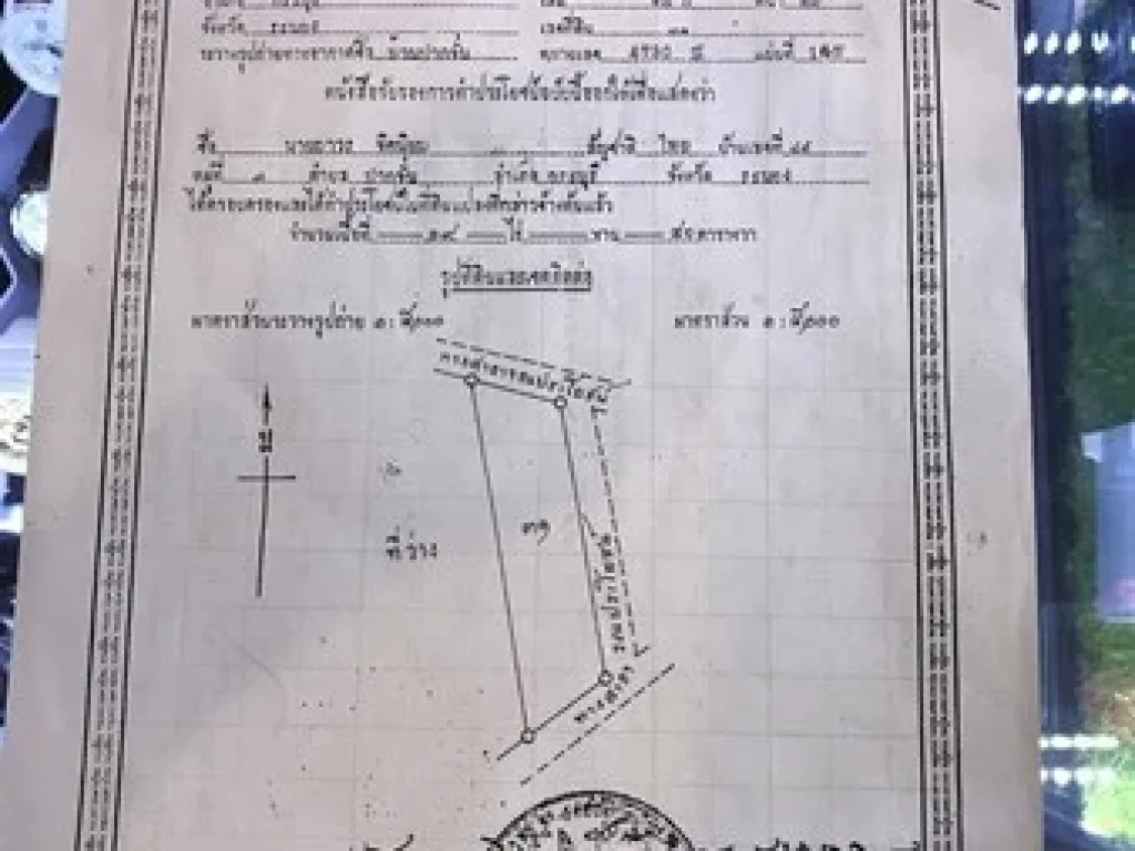 ขายสวนยางพารา และสวนปาล์ม จระนอง เจ้าของขายเอง