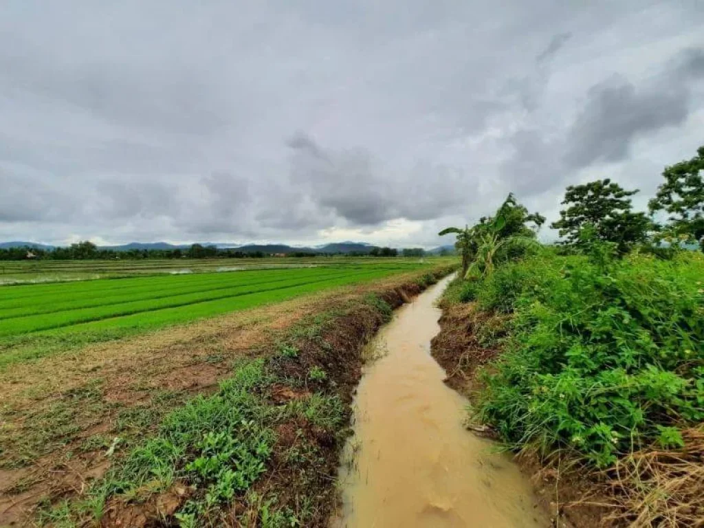 ขายที่ดินวิวทุ่งนา ป่าป้อง ดอยสะเก็ต ราคาถูก