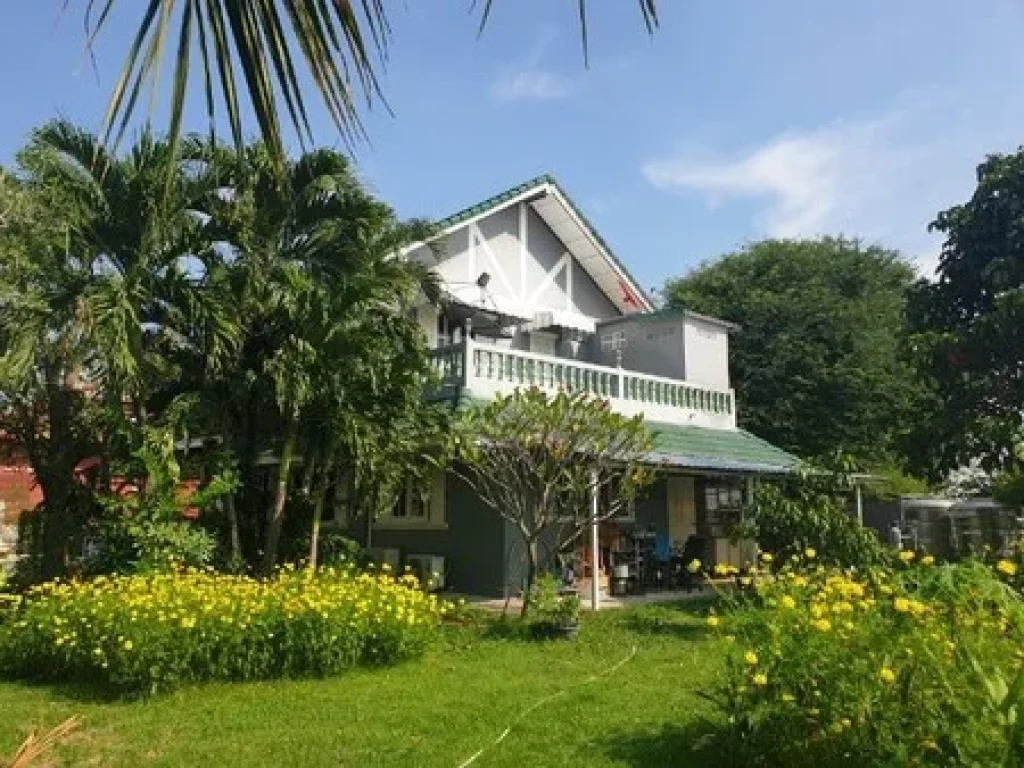 HOUSE FOR SALE ขายบ้านพร้อมที่ดิน 1 ไร่ 2 ห้องนอน 3 ห้องน้ำ ในเมืองโคราช