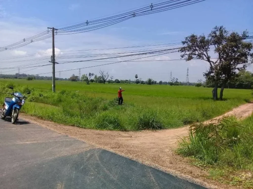 ที่ดินสวย ติดถนนแจ้งสนิท ตำบลขวาว อำเภอเสลภูมิ จังหวัดร้อยเอ็ด