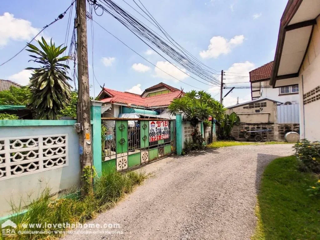 ขายบ้านเดี่ยวหมู่บ้านพรธิสาร3 ซพรธิสาร7 ถรังสิต-นครนายก คลอง6 ใกล้มราชมงคลธัญบุรี เหมาะทำหอพักนักศึกษา บ้านเดี่ยวชั้นเดียว5หลังพร้อมที่ดิน พื้นที่1