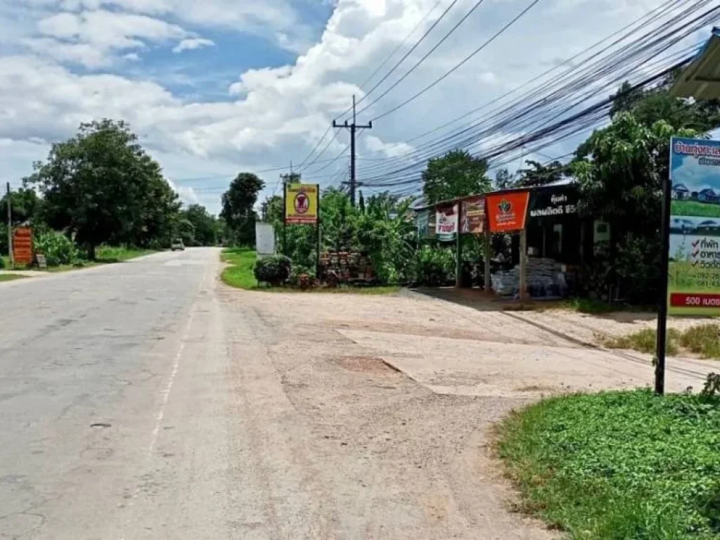 ขายที่ดิน ทุ่งนา วิวดอยหลวงเชียงดาว วิวดอยนางเชียงดาว จเชียงใหม่