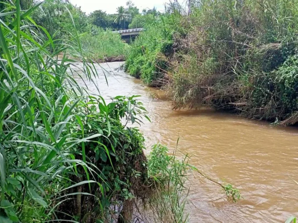 ขายที่ดินวิวดอยหลวงเชียงดาวติดแม่น้ำปิง 800 เมตร