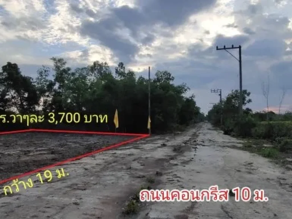 ที่ดินสวย คลอง11ที่สวยพร้อมน้ำไฟ หนองเสือ ปทุมธานี