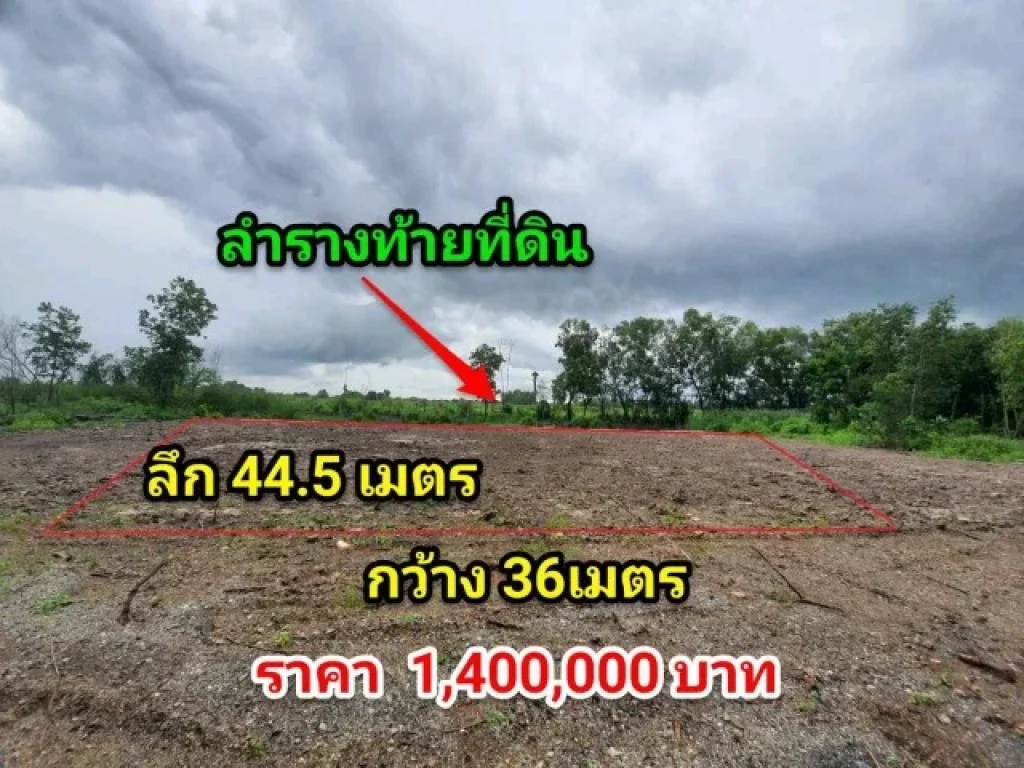 ด่วนขายที่ดินสวย คลอง11 หนองเสือ 1 ไร่ ไม่ต้องถม