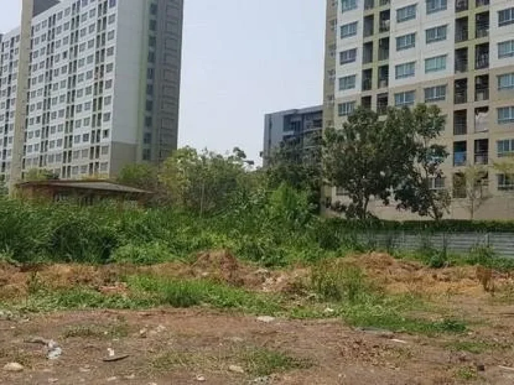 Land For Sale ที่ดิน 1 ไร่ ซอยลาซาล41 ถนนสุขุมวิท105