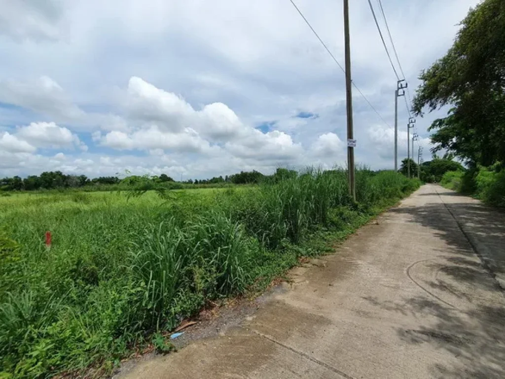 ขาย ที่ดิน ซอยสุวินทวงศ์ 110 ถนนสุวินทวงศ์ เขตหนองจอก กรุงเทพมหานคร