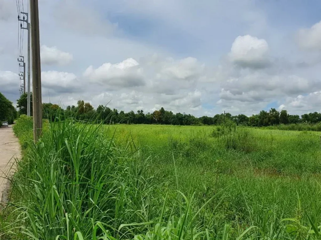 ขาย ที่ดิน ซอยสุวินทวงศ์ 110 ถนนสุวินทวงศ์ เขตหนองจอก กรุงเทพมหานคร