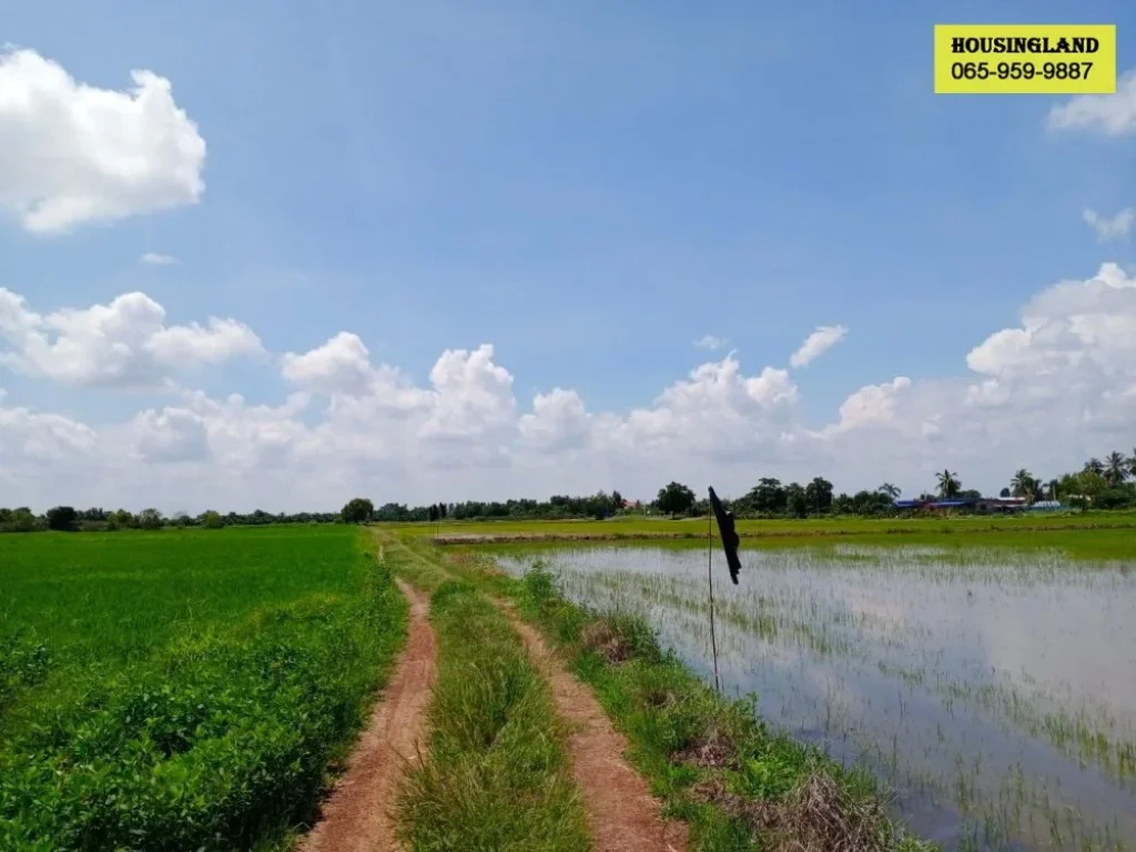 ที่ดินแปลงสวย ตำบลท่าทองหลาง อำเภอบางคล้า จังหวัดฉะเชิงเทรา