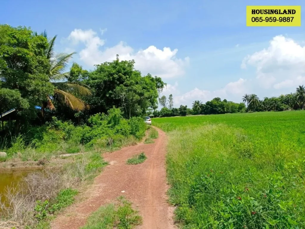 ที่ดินแปลงสวย ตำบลท่าทองหลาง อำเภอบางคล้า จังหวัดฉะเชิงเทรา