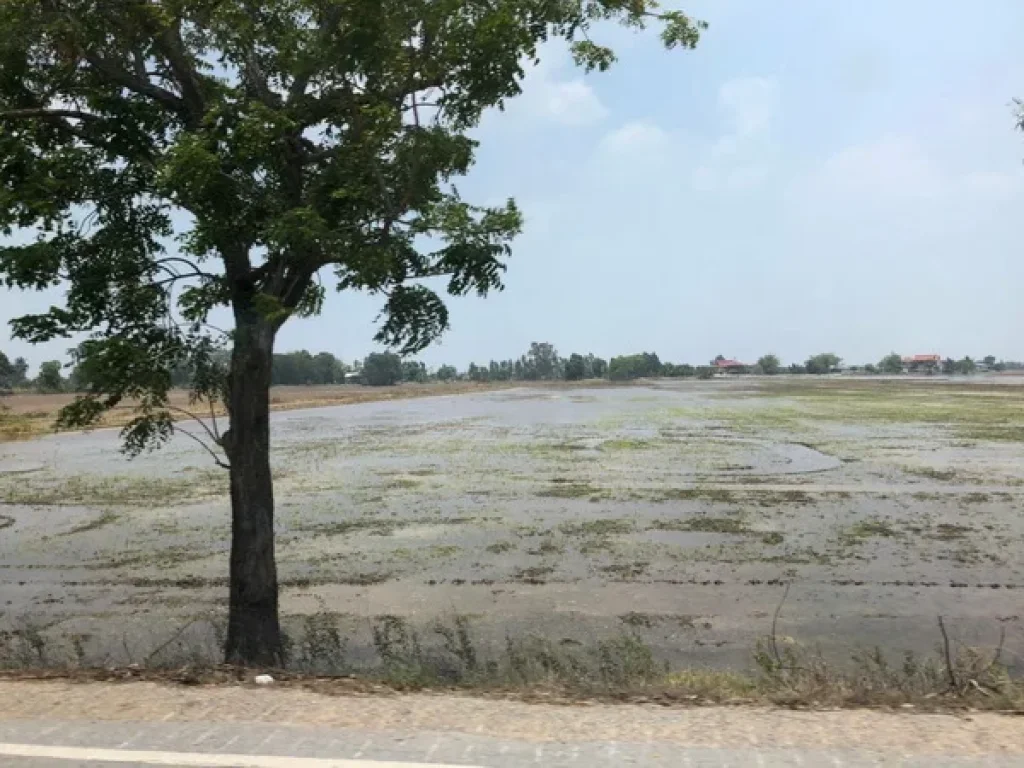 ขาย ที่ดิน ใกล้อบตวังพัฒนา ถนนกรุงเทพ-สุพรรณบุรี อบางซ้าย จพระนครศรีอยุธยา