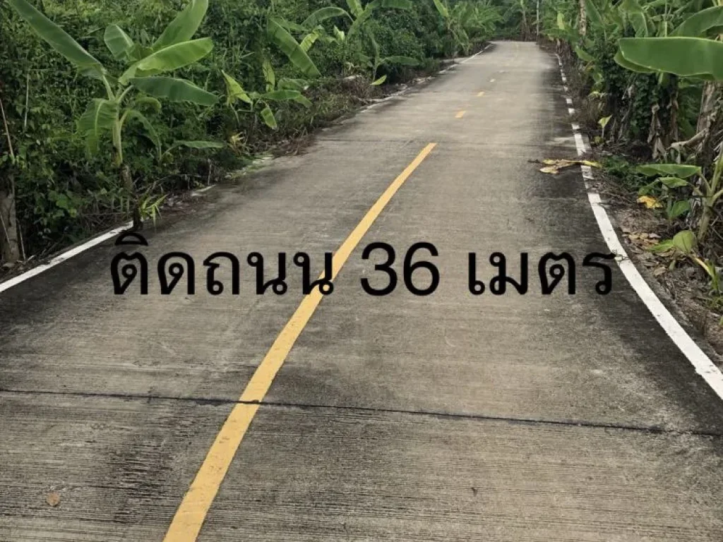 ขายที่ดิน ติดแม่น้ำท่าจีน ฝั่งแหลมดินงอก กระทุ่มแบน สมุทรสาคร