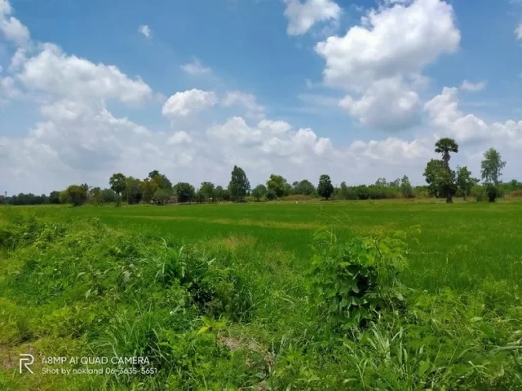 แบ่งขายที่ดิน ติดถนนลาดยางเส้นโยธาธิการ มี 2 แปลง ตบ้านพริก อบ้านนา นครนายก