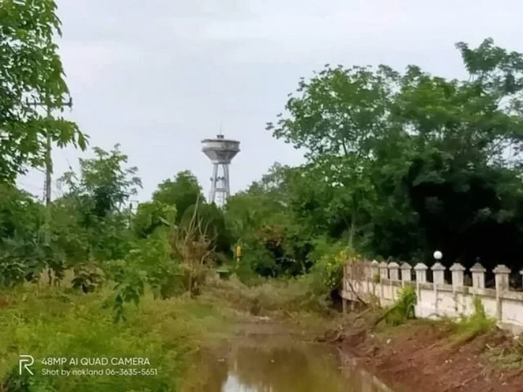 แบ่งขาย ที่ดินคลอง 12 หนองเสือตะวันตก ตรงข้าม อบตนพรัตน์ ปทุมธานี มีหลายแปลง