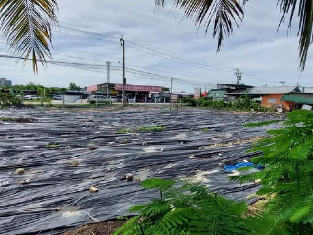 ที่ดินเปล่าถมแล้ว 200 ตรว ตลาดบางใหญ่ ตรงข้ามเซ็นทรัลเวสเกต