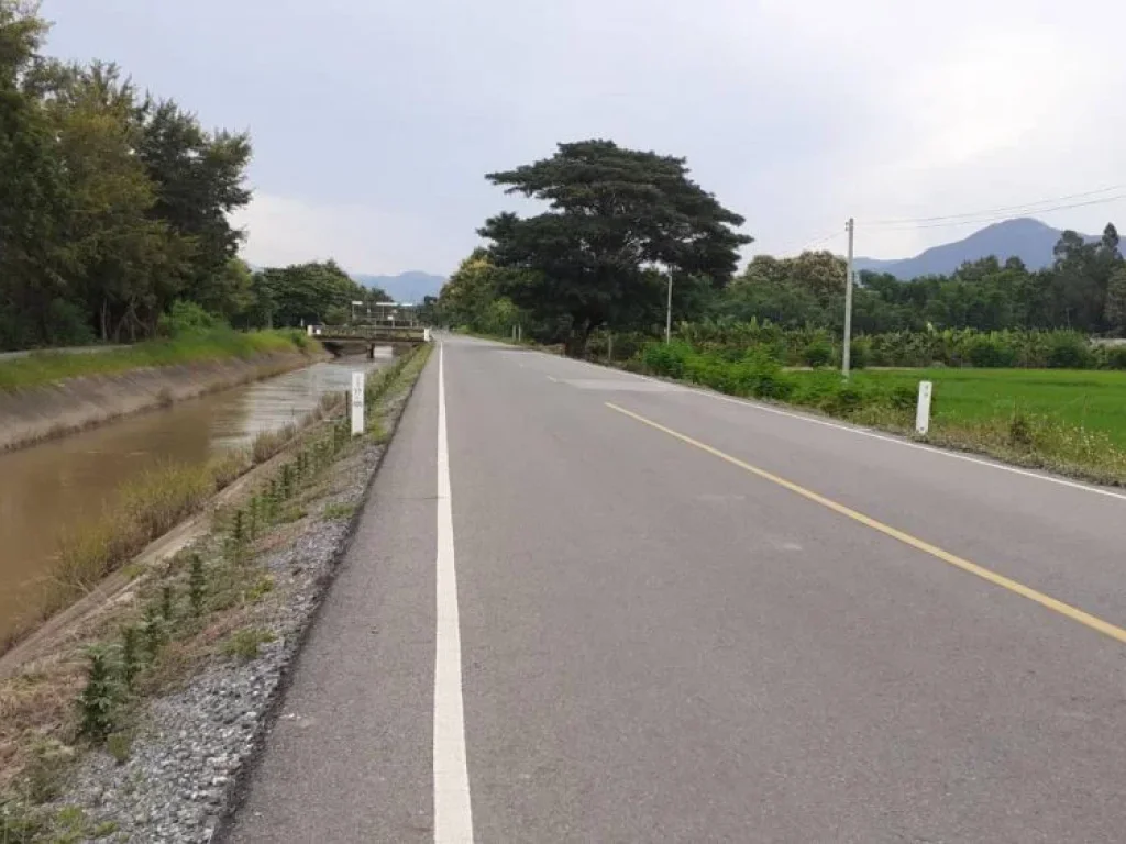 ขายที่ดินร้องวัวแดง สันกำแพง ติดถนนค้าขายได้