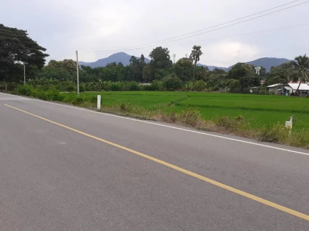 ขายที่ดินร้องวัวแดง สันกำแพง ติดถนนค้าขายได้