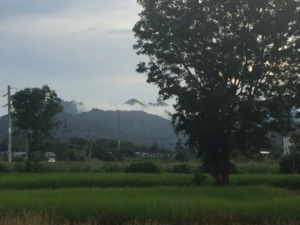 ขายที่ดินแปลงสวยพร้อมสิ่งปลูกสร้าง ที่ดินติดถนนคอนกรีต บรรยากาศดี วิวภูเขา สระบุรี